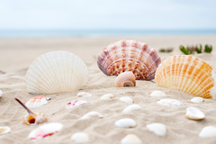 Plážové lehátko_spravne foto