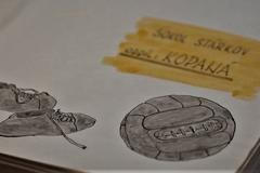 Fotbalová republika, díl první: Maškarní ve Stárkově