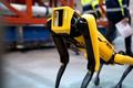 Seznamte se, to je Spot. Čtyřnohý robot získal pozici zaměstnance na ropné plošině