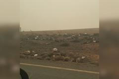 Kolem australské silnice ležely řady uhynulých zvířat. Podlehli ničivým požárům