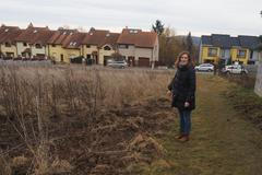 Mníšek pod Brdy - přemnožení divočáci