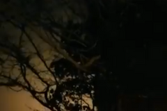 Muž natočil pád ukrajinského Boeingu u Teheránu. Exploze byla vidět na kilometry daleko