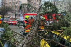Bouře Sabine vyvracela v Praze stromy na auta. Na vítr doplatila i redaktork ČT