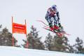 Alpine Skiing: Lake Louise FIS Women's Ski World Cup, Ester Ledecká