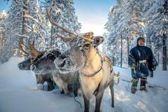 Patrik Minár: Mezeňská oblast (Rusko)