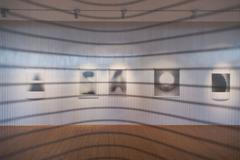 Jaroslava Severová: Nejisté skutečnosti