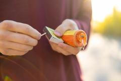 Zábavní pyrotechnika