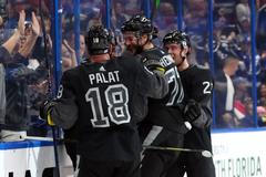Ondřej Palát z Tampa Bay(18) slaví gól