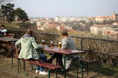 Praha, jaro, první květy, 17. března 2017