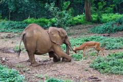 Radek Jaroš: fotografie z Afriky