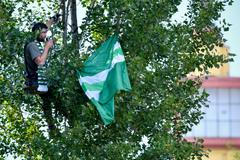 25. kolo fotbalové Fortuna:Ligy 2019/20, Bohemians - Teplice: Domácí fanoušek na stromě