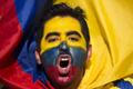 Fanoušci na Copa América 2015: ekvádorský fanoušek