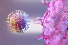 2 minuty - Koronavirus zblízka