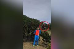 Medvěd pronásleduje 12letého chlapce v italských alpách