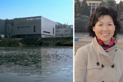 2 minuty - Wuchanská laboratoř se brání (video z 25. května 2020)