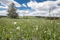 CHKO Žďárské vrchy a zemědělec Jiří Kunc