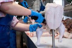 Jatka, masokombinát