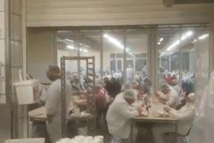 Němci posílají do karantény statisíce lidí. Koronavir se šíří z obřích jatek