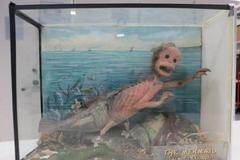 "Vycpaná mořská víla"