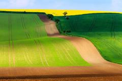 Moravské Toskánsko. Krajina a polní cesta poblíž Kyjova.