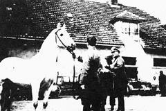 Jednorázové užití / Fotogalerie / Operace Cowboy / Paměť národa