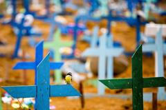 Brazílie - koronavirus