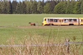 Kůň si umanul, že vlak prostě neprojede