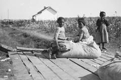 Černošky na plantáži