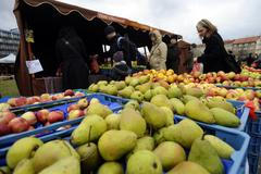 Farmářské Trhy Dejvice Kulaťák