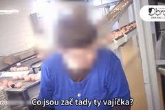 Velký vaječný podvod