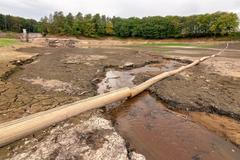 České sucho v obrazech: Vyschlá přehrada Pařížov a slunečnice spálené sluncem