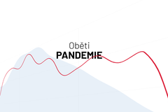 Dopad koronaviru na jednotlive státy