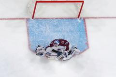 Pavel Francouz v brance Colorada (2019-20)