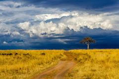 Bouřka - blesk - hřmění - počasí