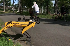 Robopes v Singapuru hlídá rozestupy