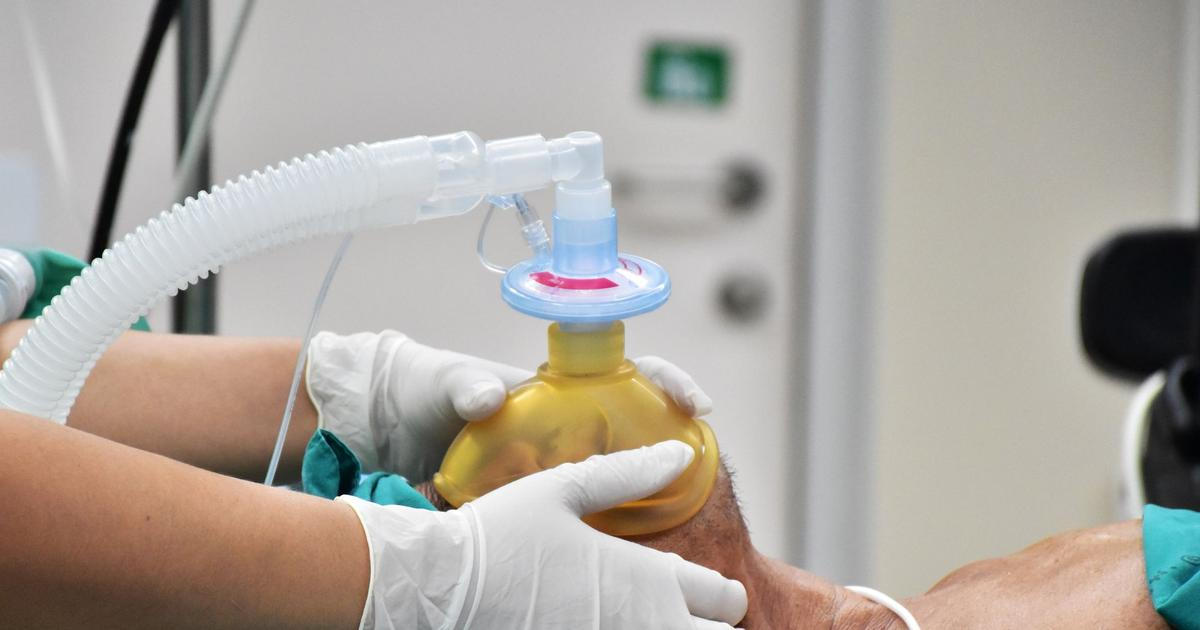 Spása pro českou ekonomiku. Bez cizinců by zkolabovalo zdravotnictví i sociální služby