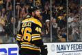 David Krejčí Boston hokej nhl boston