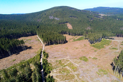 jeseník ykůrovec dron 3