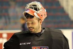 Česká hokejová reprezentace před MS 2018