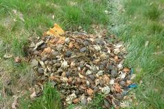 krabi městská policie