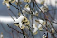 Jaro v Krušných horách