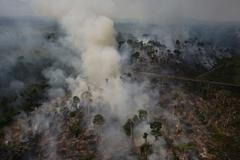 Amazonský prales v Brazílii