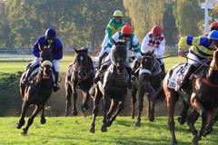 Velká Pardubická 2019