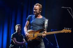 Sting