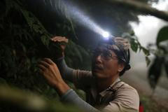 tchaj-wan ochrana přírody rostliny klima