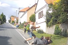 Plzeňský strážník při napadení psem použil zbraň