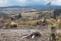 Kůrovec, kalamita, Jeseníky - Město Albrechtice