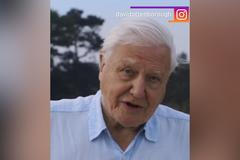Přírodovědec Attenborough si založil Instagram, milion fanoušků nasbíral za pár hodin