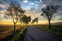 Fotografie z výstavy skupiny 3+62 v pražském Kongresovém centru