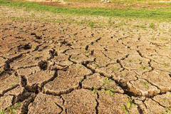 Nejdeštivější červen? Potřebujeme několik let. Přijde ještě tvrdší sucho, říká Žalud